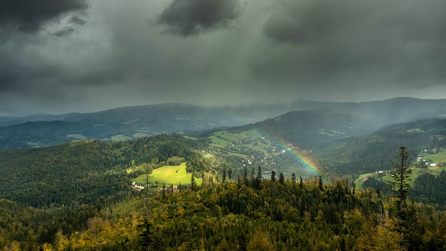 The Unexpected Beauties Of a Rainy Autumn Afternoon