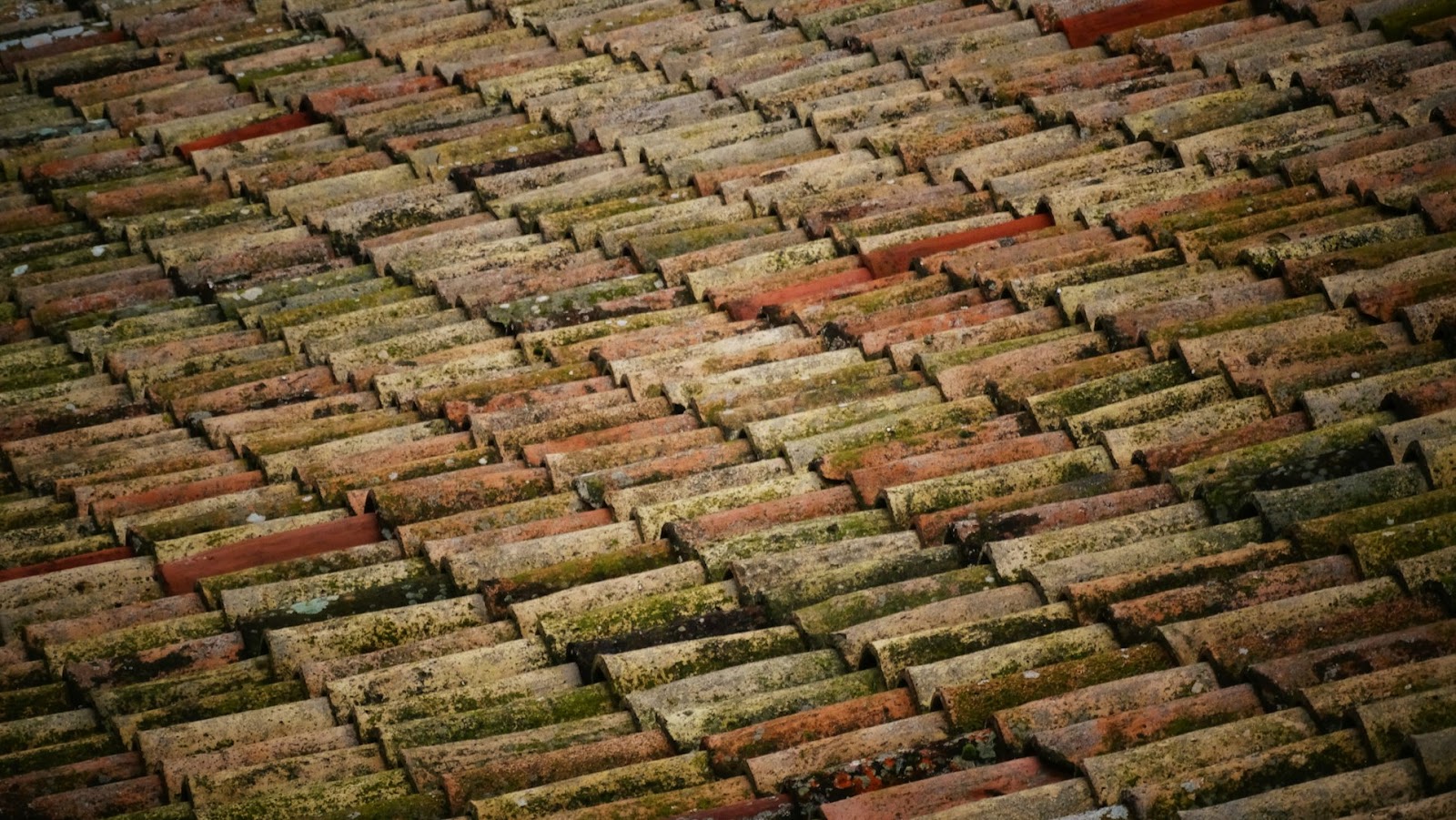 Expert Tips for Selecting the Perfect Roofing Solution
