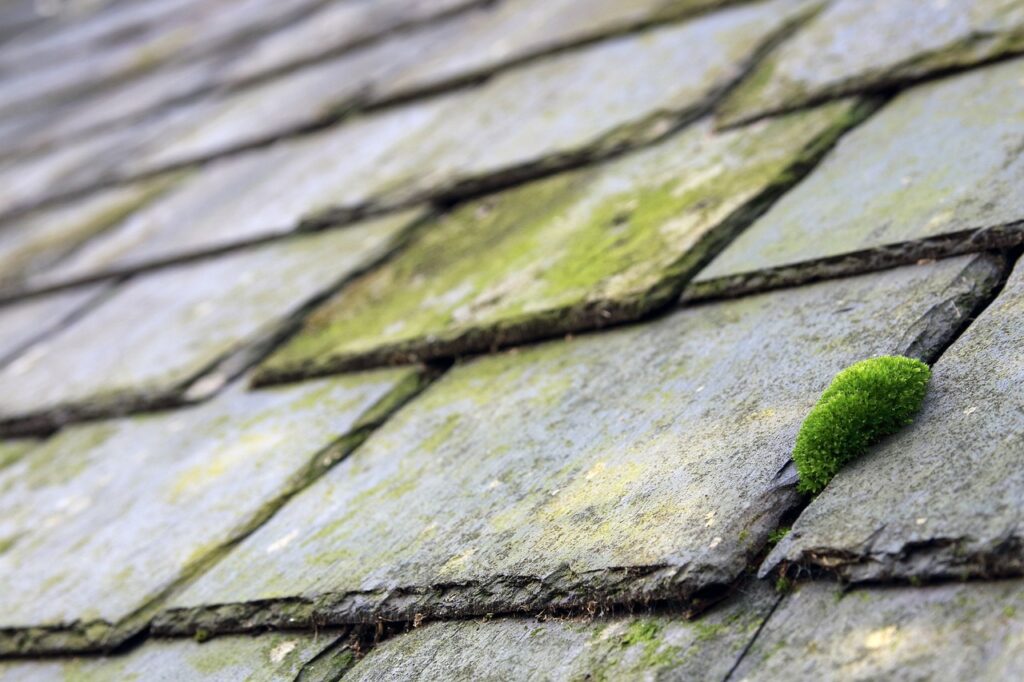 How to Quickly Find a Reliable Roofing Pro