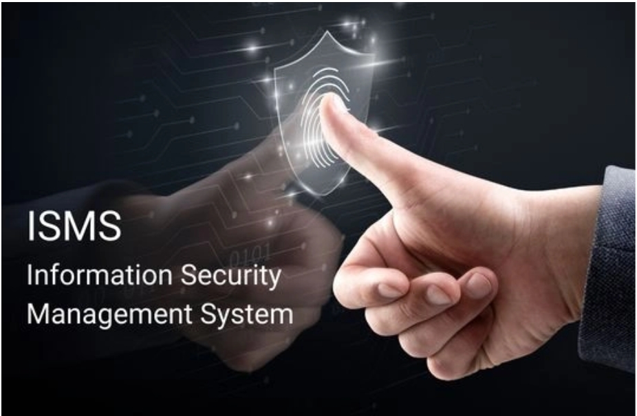 How Data Security Management Systems Protect Against Cyber Threats