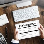 Why Pet Business Insurance Is a Must-Have for Every Pet Care Professional