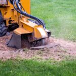 Why Stump Grinding is Essential for a Beautiful Lawn