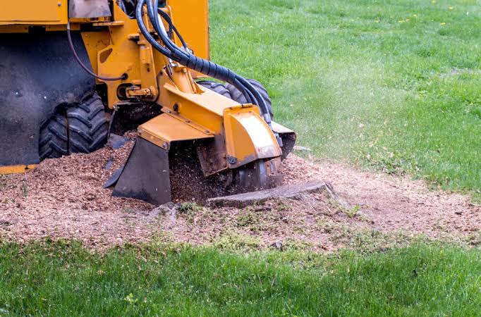 Why Stump Grinding is Essential for a Beautiful Lawn