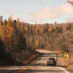 Where Are the Best 2024 Fall Foliage Road Trips for Leaf Peeping?