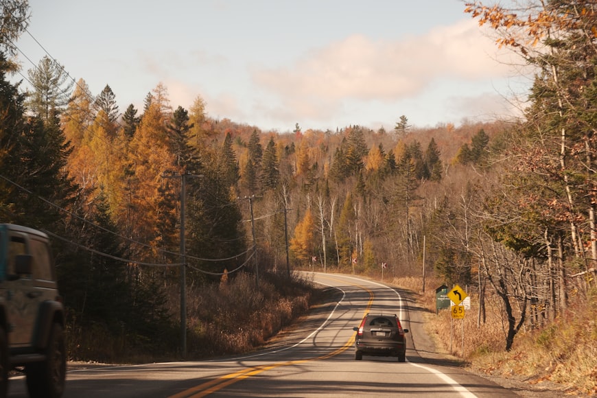 Where Are the Best 2024 Fall Foliage Road Trips for Leaf Peeping?