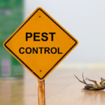 Residential Pest Control Services Langley: Effective Solutions for a Pest-Free Home