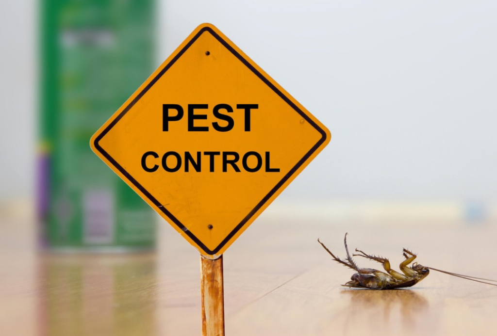 Residential Pest Control Services Langley: Effective Solutions for a Pest-Free Home