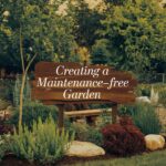 Creating a Maintenance-Free Garden – A Simple Guide