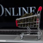 Top 5 Mistakes to Avoid When You Buy Cannabis Online in Canada