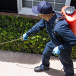 Pest Control Solutions