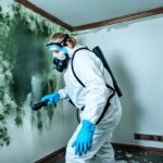 The Health Risks of Mold Exposure: Why Immediate Removal is Crucial