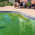 Why Is My Pool Water Green: Understanding and Killing Pool Algae