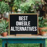 Best Omegle Alternatives