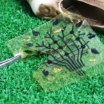 Biodegradable Electronics