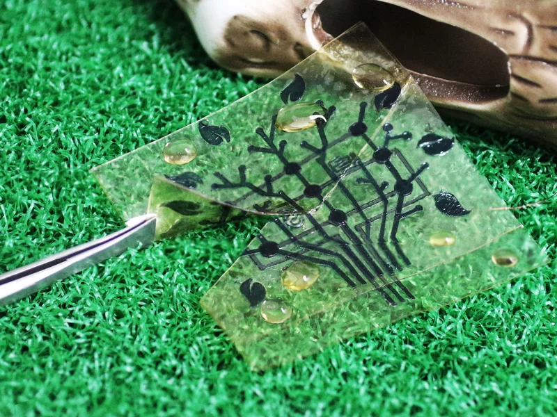 Biodegradable Electronics