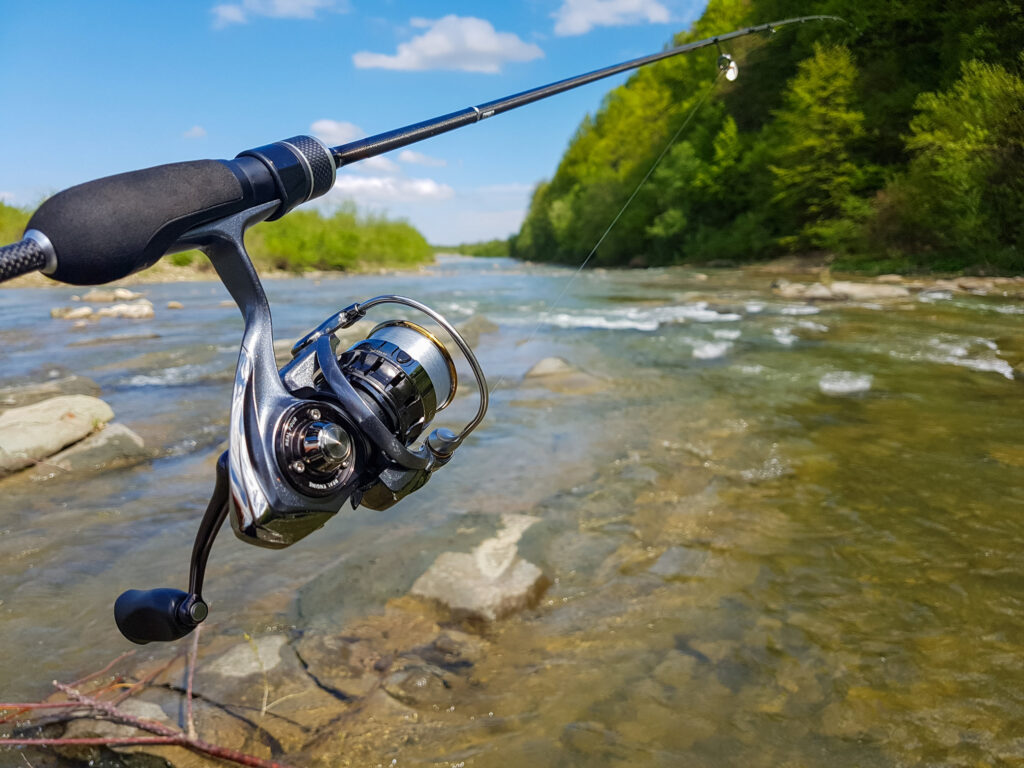 Spinning Reels