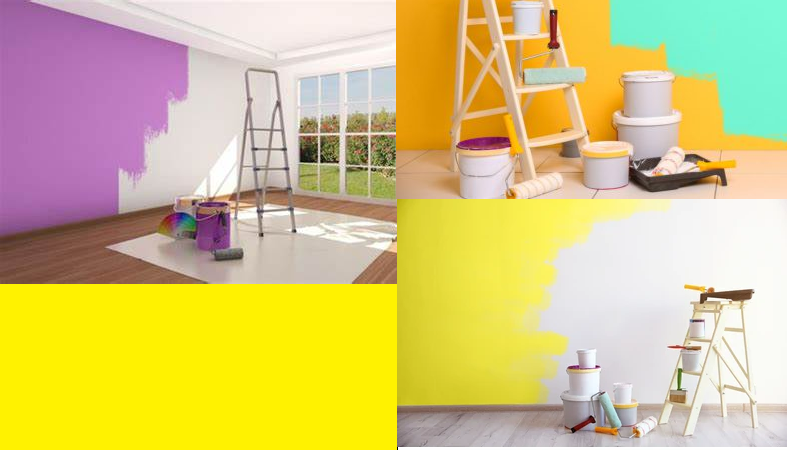 The Science of Color: How Paint Influences Mood and Productivity at Home