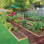 A Guide to Backyard Edible Gardens