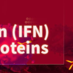 Breaking Barriers: How IFN-Gamma Advances Overcome Protein and Antibody Challenges