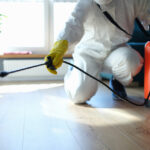 Understanding Pest Control Treatments: What to Expect