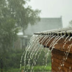 Lexington’s Wet Seasons: Protecting Your Home from Water Damage