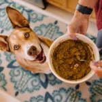 All-Natural Dehydrated Dog Food