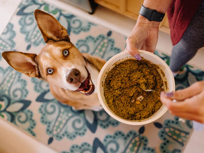 All-Natural Dehydrated Dog Food