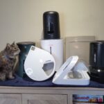 Automatic Cat Feeders for Wet Food: Convenience and Nutrition for Your Feline Friend