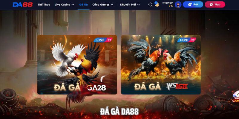 DA88 chicken kick - fierce arena of millions of players