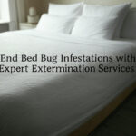 End Bed Bug Infestations with Expert Extermination Services