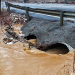 Managing Stormwater Runoff in Harrisburg Landscapes: A Homeowner’s Guide