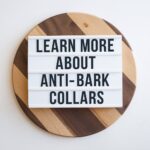 Learn More About Anti-Bark Collars