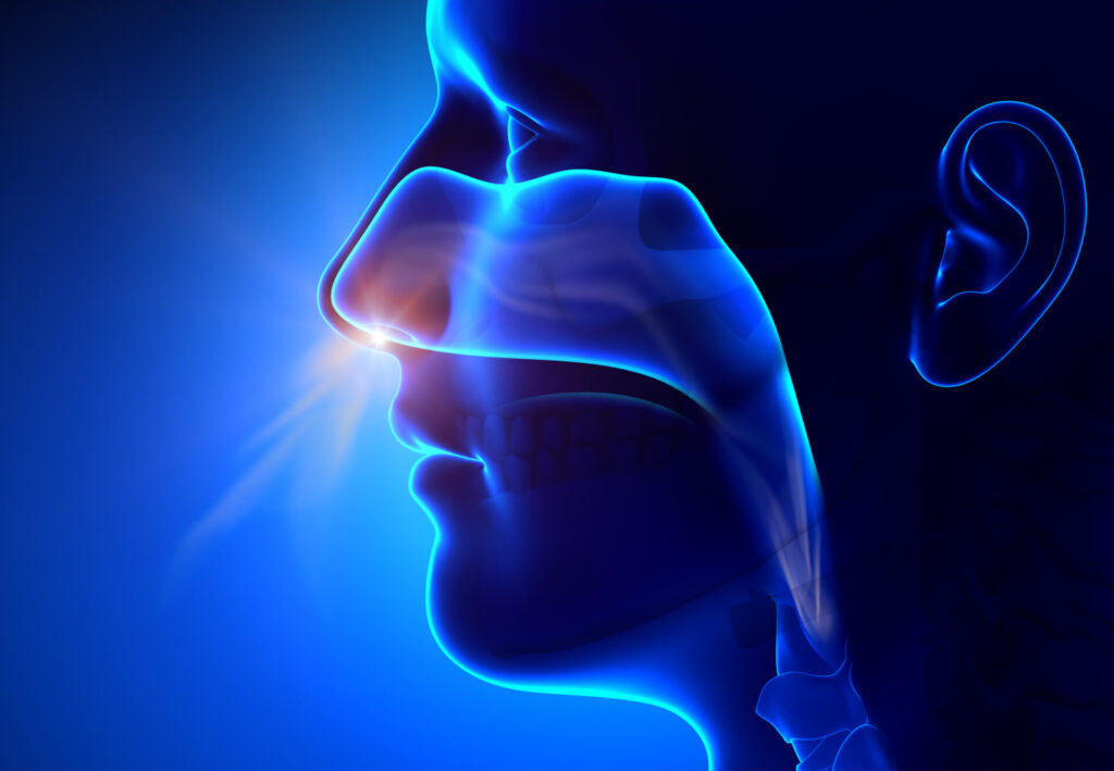 Types of Nasal Formulations: A Comprehensive Overview