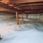 Comparing DIY vs. Professional Basement Waterproofing Solutions