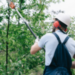 How to Trim Trees Without Harming Their Growth: Expert Tips