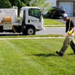 How to Find the Best Lawn Care Service in Tuscaloosa