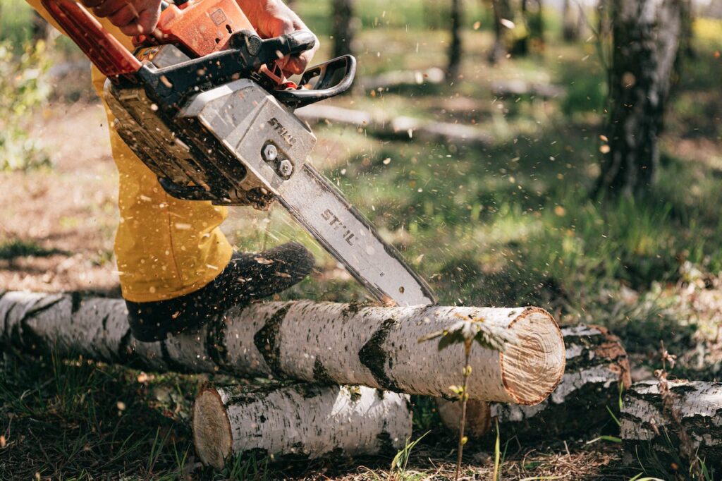 Why Professional Tree Removal Is Essential For Your Property’s Safety