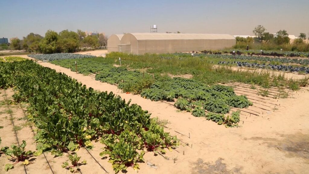 Farm Near By Me: How to Find Local Farms for Fresh Produce and Experiences