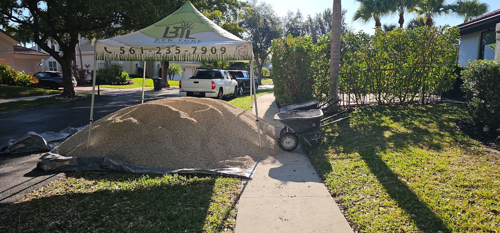 Artificial Grass
