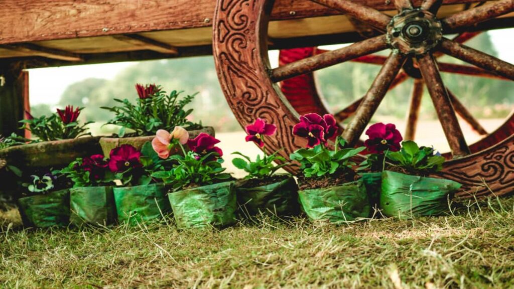 Creating Themed Garden Spaces Centred Around Your Bench