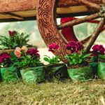 Creating Themed Garden Spaces Centred Around Your Bench