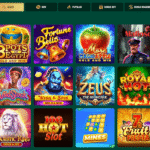 Diversity Of Game Genres In Richard Casino