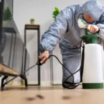 Complete Guide to Pest Control Services: Protecting Your Home and Health
