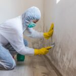 Mold Testing Dallas – Protect Your Property with Expert Mold Removal Services