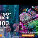 TreHouse Review