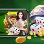 Vietnamese Disc Game