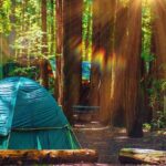 Best Campgrounds in Northern California: Ultimate Guide 2025