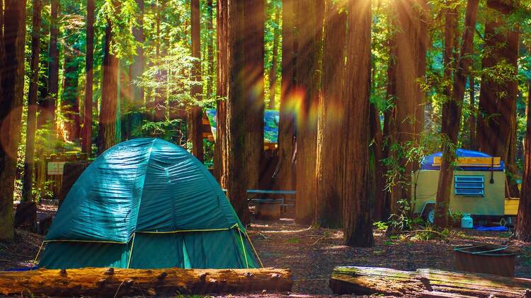 Best Campgrounds in Northern California: Ultimate Guide 2025