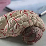 Traumatic Brain Injury: Causes And Symptoms, And The Path To Recovery