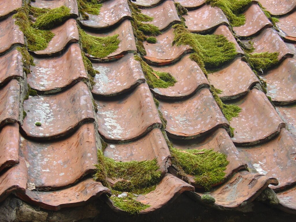 Common Reasons Roofs Do not Last as Long as They Should